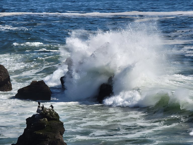 Wave crashing on the rocks Bodega Bay, CA