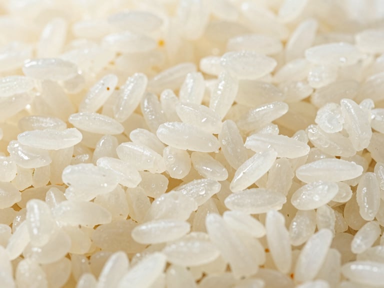 Detailed shot of steamed rice grains, slightly translucent and firm, ready for packaging, bright natural daylight, high detail, 35mm