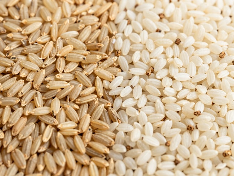 Split image showing raw rice grains next to parboiled sella rice grains, highlighting the difference in appearance, bright natural daylight, high detail, 35mm