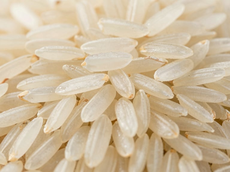 Macro shot of long-grain Basmati rice, raw and uncooked, bright natural daylight, high detail, 35mm
