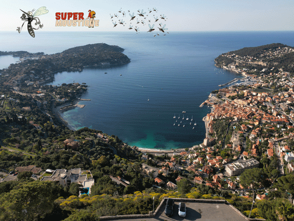 Démoustication à Villefranche-sur-Mer – SuperMoustique, votre expert anti-moustique local