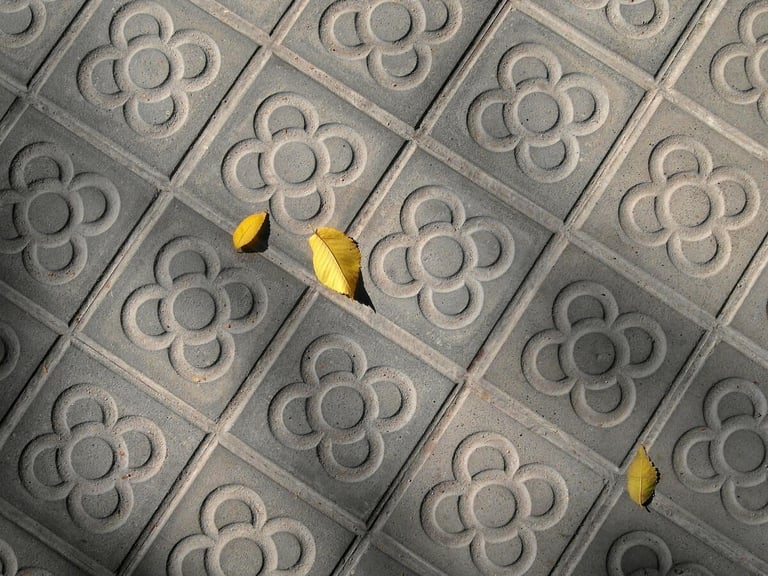 Foto de una acera de barcelona donde se muestra el panot