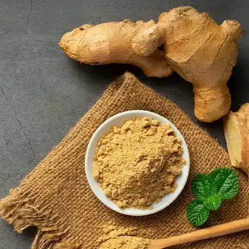 Fresh whole ginger root and organic ground ginger powder in a bowl on a rustic burlap cloth.