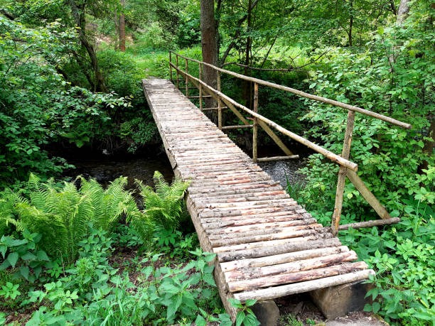 accompagnement du dirigeant passerelle réussite