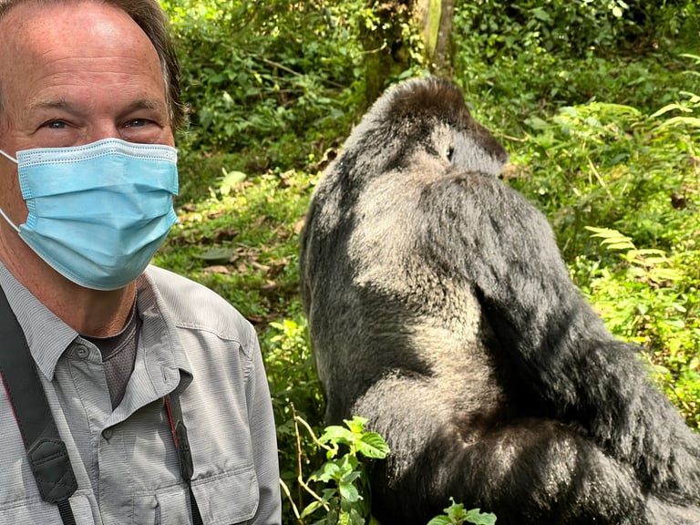 David Harrison standing in the bamboo forest just a few feet from a large silverback gorilla.