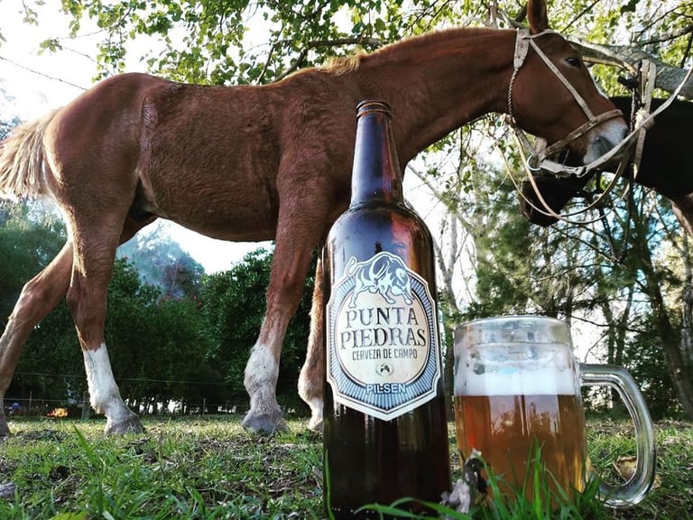 campo - punta piedras cerveza de campo