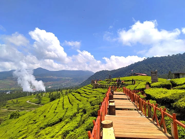 Pemandangan kebun teh hijau dan jembatan kayu ikonik di Wayang Windu Panenjoan Pangalengan, Bandung Selatan dengan latar pegu