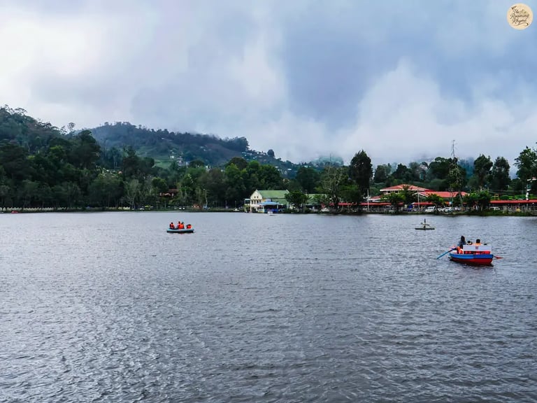 Boating on the serene Kodai Lake, surrounded by lush hills and reflections.