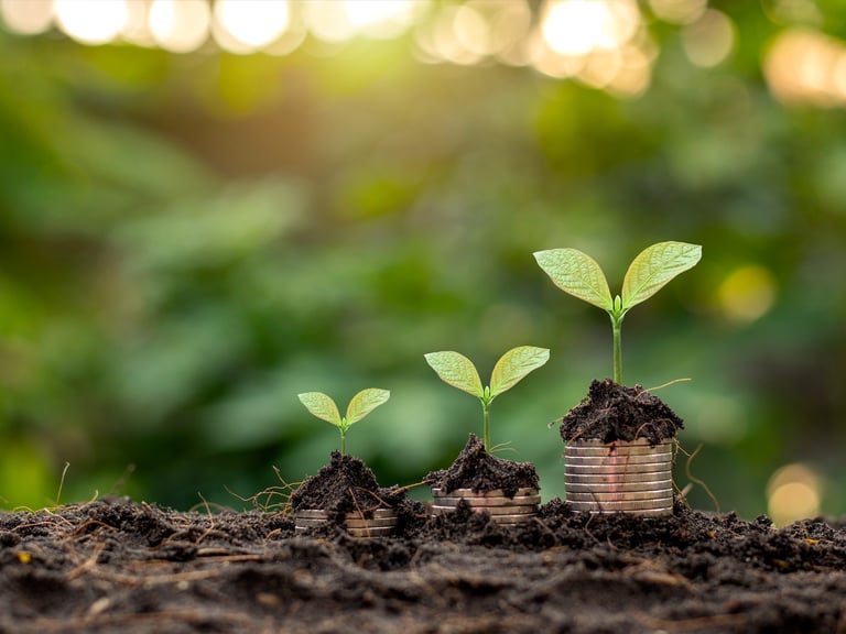 GTMizer for startups, GTM planning, Go-to-Market, business strategy, launch