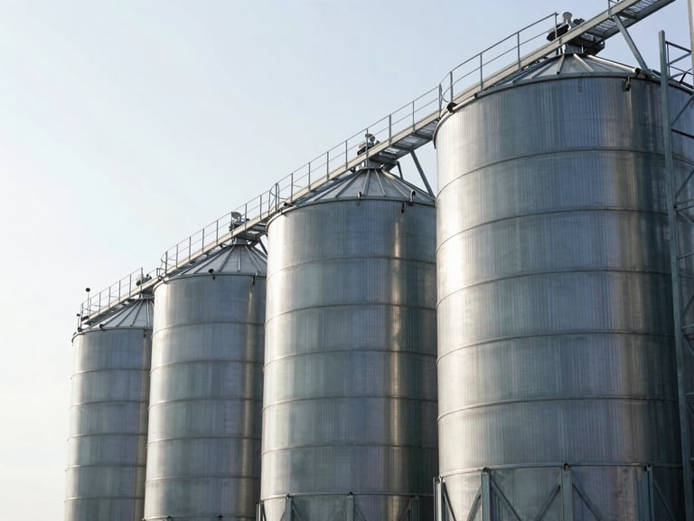 Medium shot of clean, modern stainless steel grain silos rising against a bright morning sky in Azerbaijan, sharp focus, 35mm lens