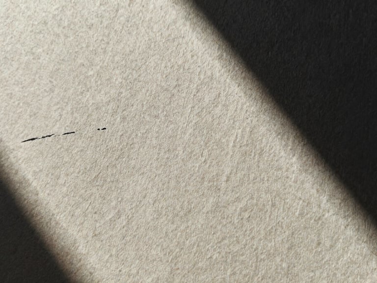 Close-up of textured heavy cotton paper with black ink bleeding into the fibers, high contrast natural light, deep shadows.