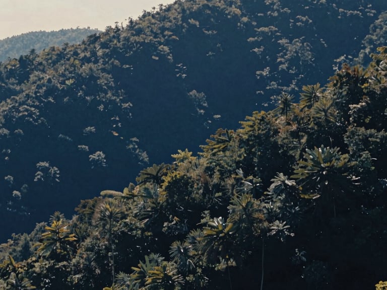 Cinematic still of a vast, tranquil natural landscape, perhaps a forest or a mountain range, with soft, diffused daylight, rich deep blue shadows, 35mm film aesthetic.
