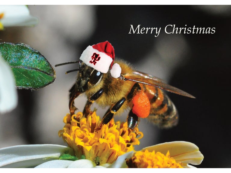 Beekeeping Course, Voucher