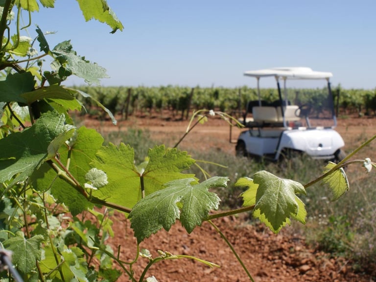enoturismo vile la finca