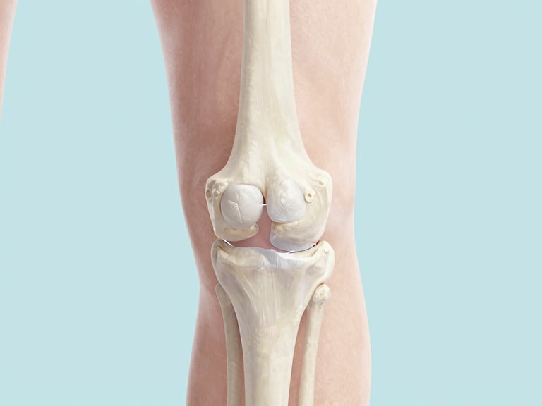 Macro shot of a healthy human knee joint in motion, subtle light, natural daylight, clean medical illustration style, pastel background.
