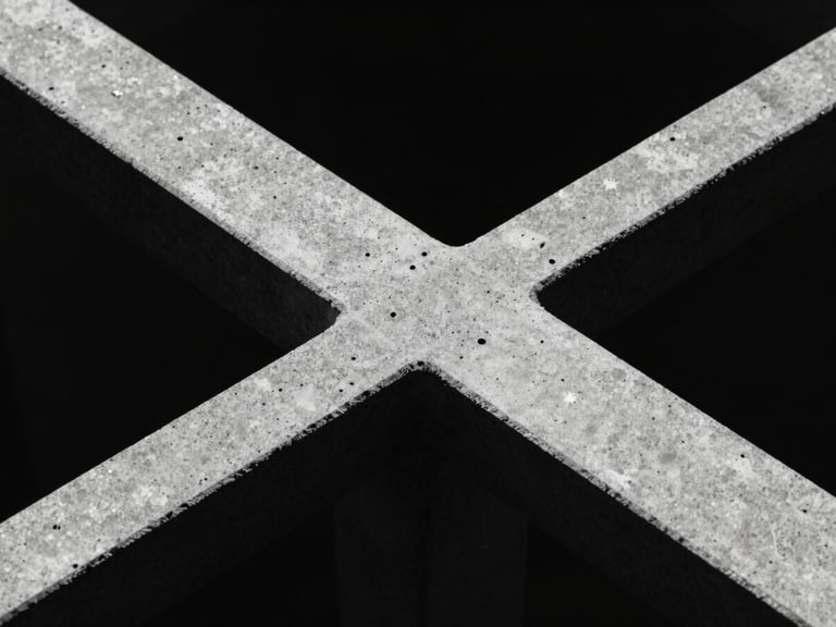Stark minimalist macro photography of crystalline bio-scaffolds intersecting with raw concrete under harsh directional light, sharp focus, high-contrast monochrome