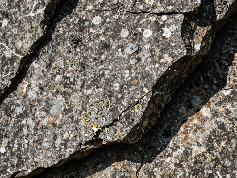 Extreme close-up of weathered stone and lichen on a cliffside, harsh midday shadows, tactile texture, sharp focus.