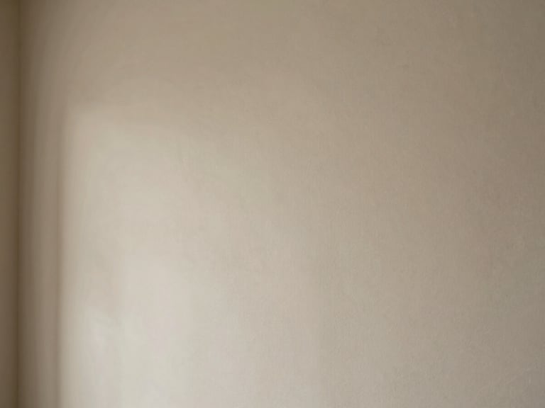Detail shot of a perfectly finished wall surface, showing subtle texture and even color, soft natural light, architectural interior photography.
