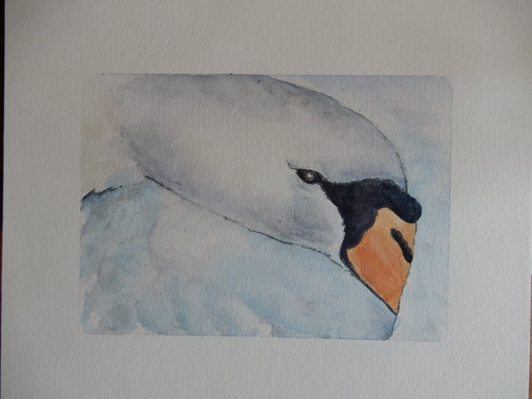 Dans les Plumes, aquarelle sur papier 100% coton, 24x30 cm, Sébastien Schoch