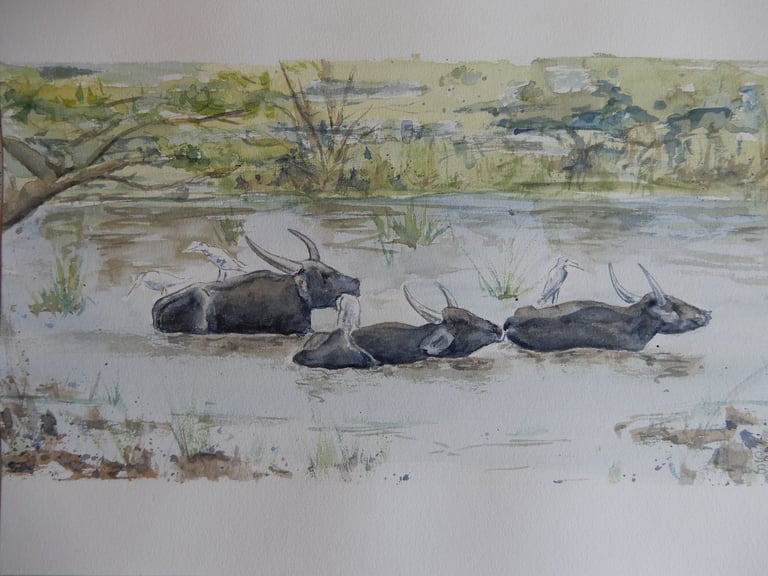 Bathing Buffalos, aquarelle sur papier 100% coton, 30x40 cm, Sébastien Schoch