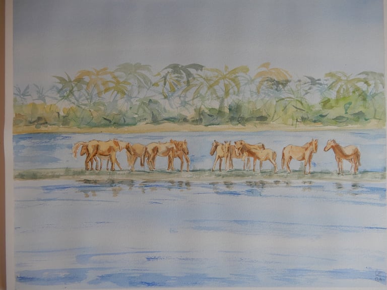 Wild Horses, aquarelle sur papier 100% coton, 40x50 cm, Sébastien Schoch