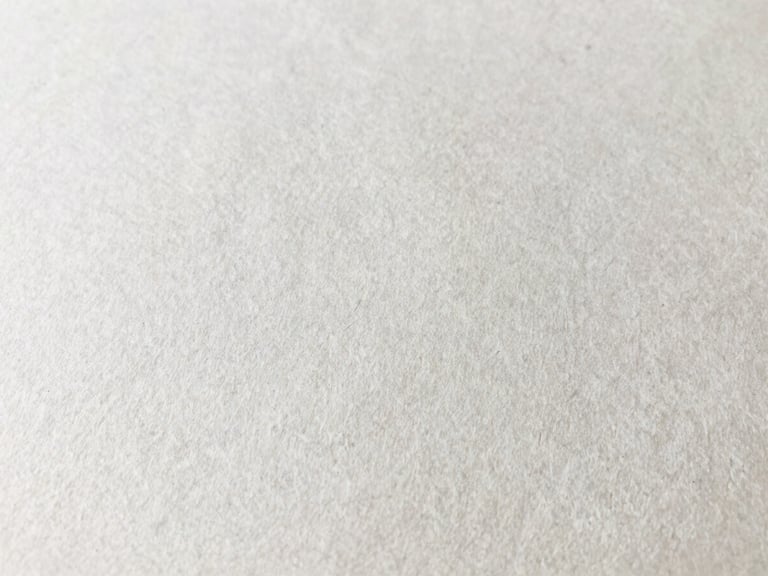 Detailed close-up showing the heavy texture of archival ink on 310gsm cotton rag paper, soft natural daylight