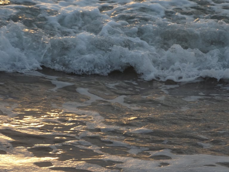 A gentle wave reaching shore and reflecting the sunset