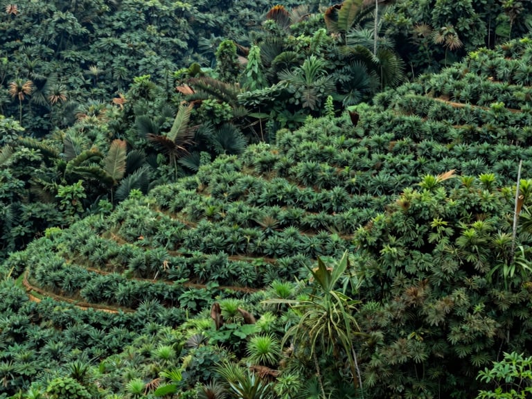 a man riding a skateboard down the side of a ramp