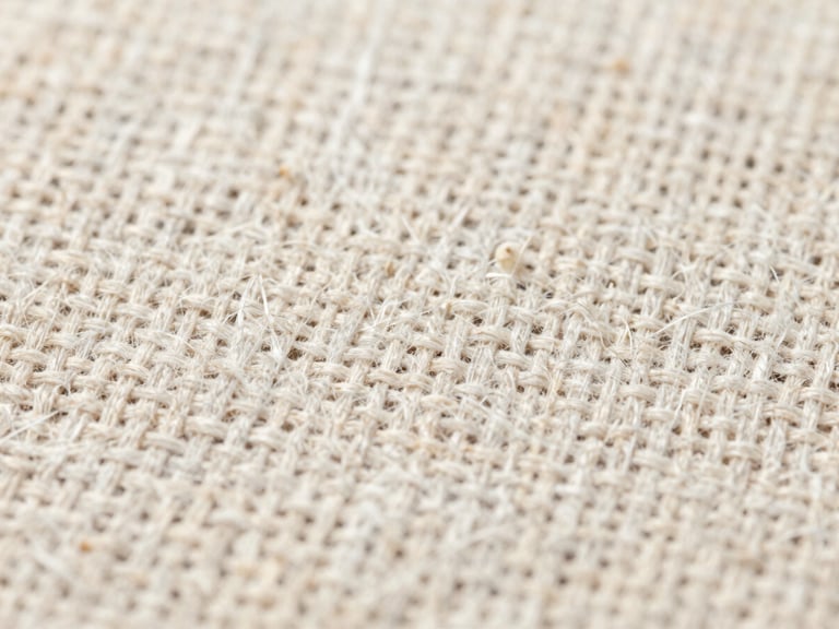 Macro close-up of raw linen fibers and woven cotton threads under neutral daylight, high-resolution textile texture.