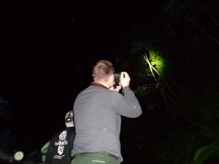 a man taking a picture of a wildlife on a tree