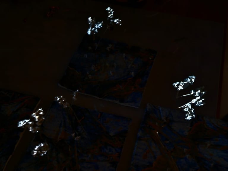 First sun in the studio photographed by Nikoru