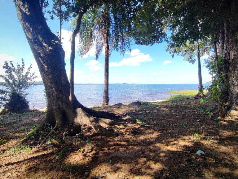 El Parque Paraná befindet sich in privilegierter Lage direkt am Río Paraná