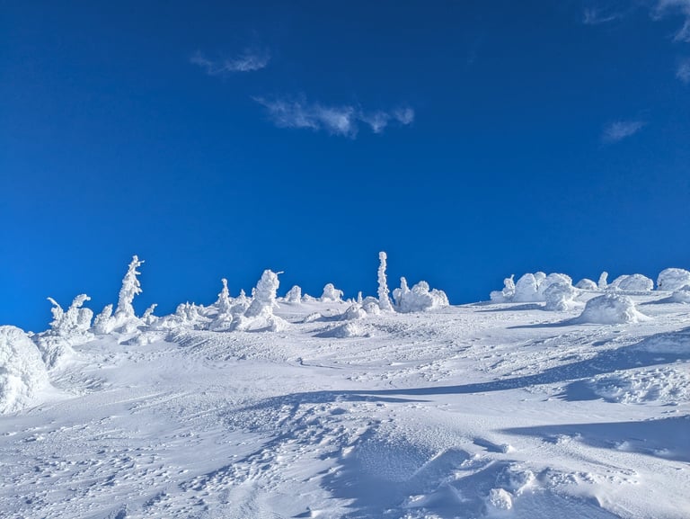 Snow-covered mountain slope with frost-covered trees under clear blue sky.