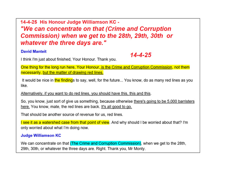 Adrian Schrinner Crime and Corruption allegations