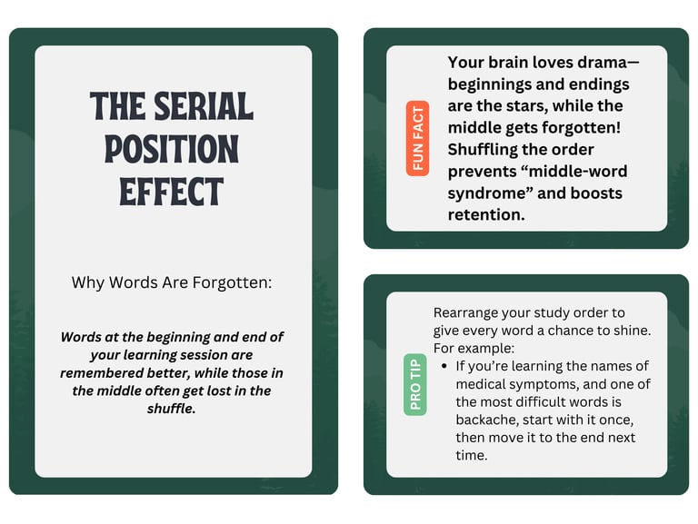 serial position effect