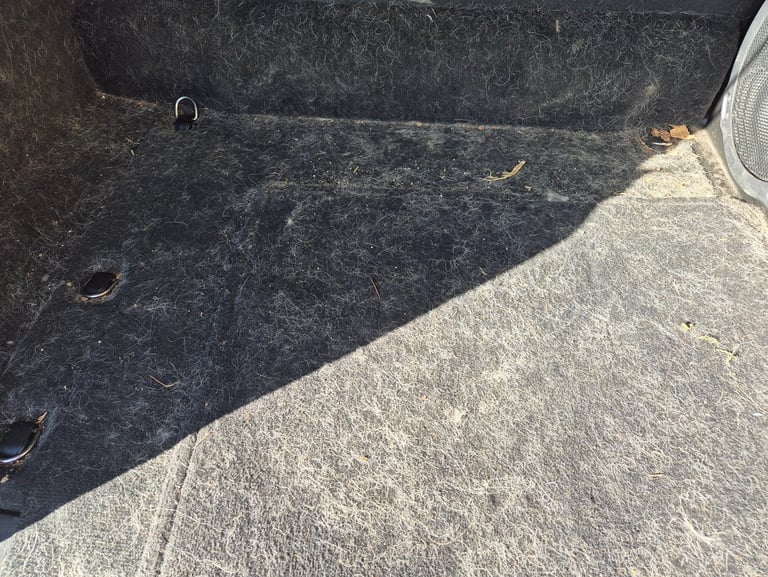 Dirty car trunk carpet covered in white pet hair and debris requiring interior detailing.