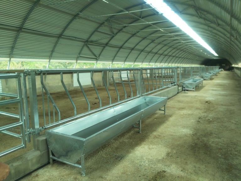 Proyecto de legalización de actividad cebadero de terneros