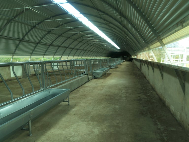 Proyecto de actividad de cebadero de terneros