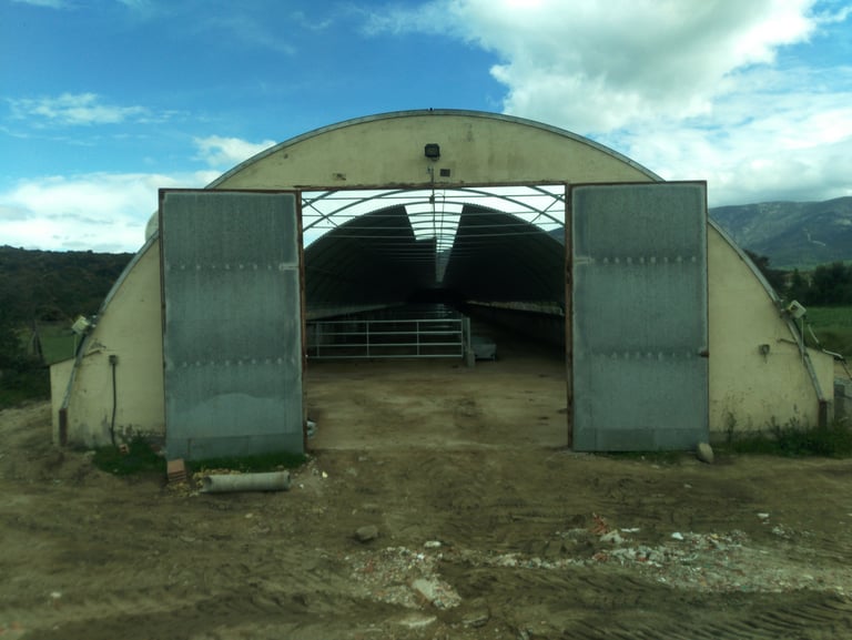 Proyecto Básico mas Ejecución de nave para cebadero terneros