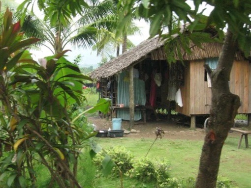 A hut-style abode surrounded by greenery.