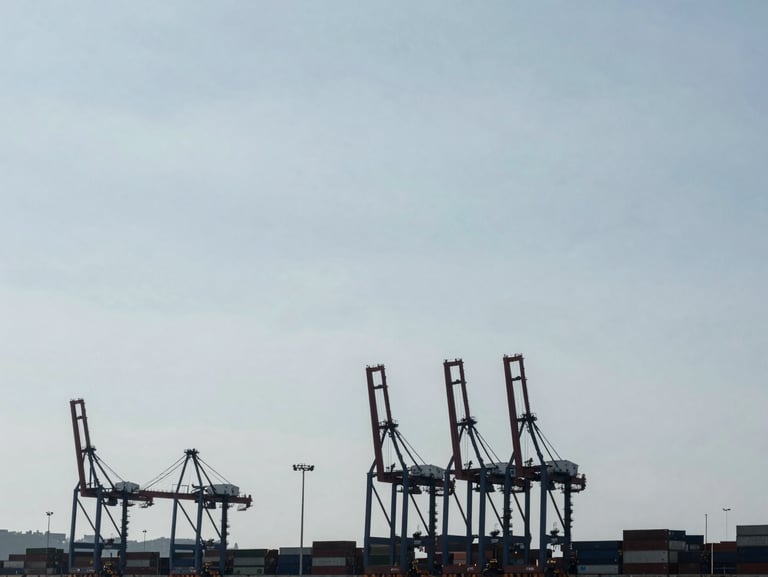 Minimalist wide-angle shot of a deepwater port terminal with container cranes silhouetted against an overcast sky, cool desaturated tones