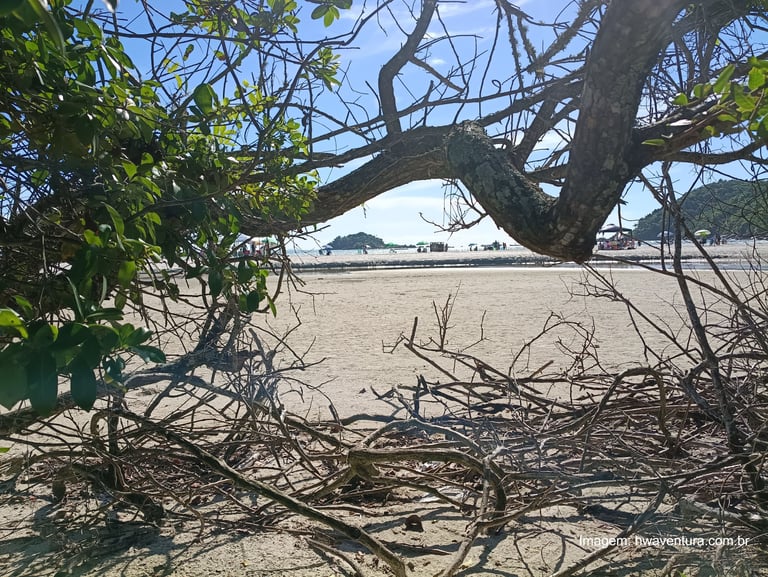 amanhecer na praia no acampamento na praia de palmas em governador celso ramos