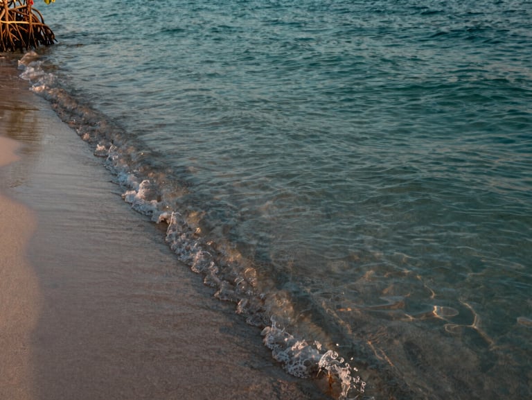 Close framing of clear teal water lapping a Marco Island shoreline at dawn, mangrove roots visible at the left edge, soft warm light catching the surface ripples, no people