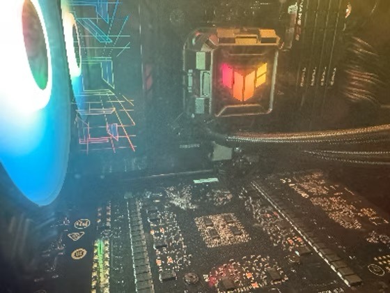 лошадь танцует