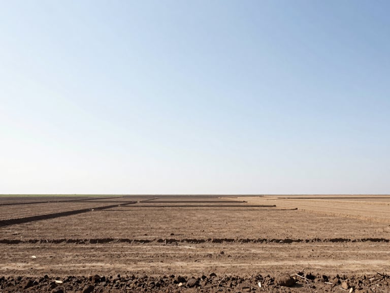 Minimalist landscape of a surveyed development plot, showing clean soil lines and natural daylight, eye-level perspective.
