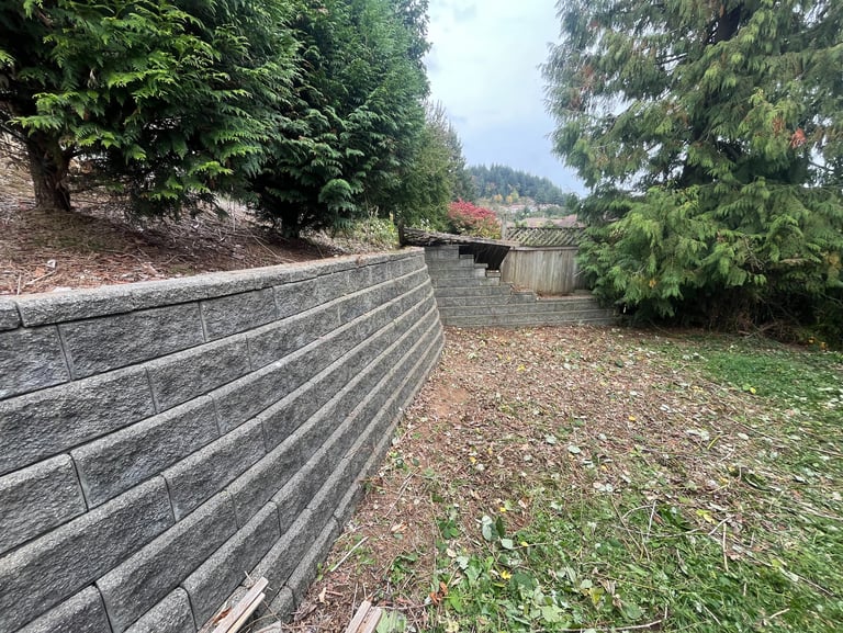 blackberry bushes removed from a retaining wall. 
