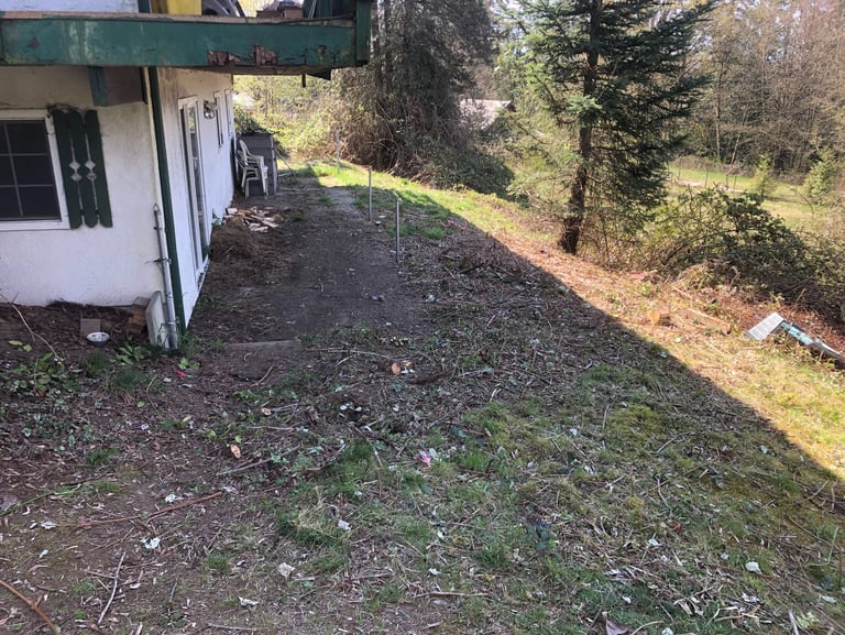 no more blackberry bushes