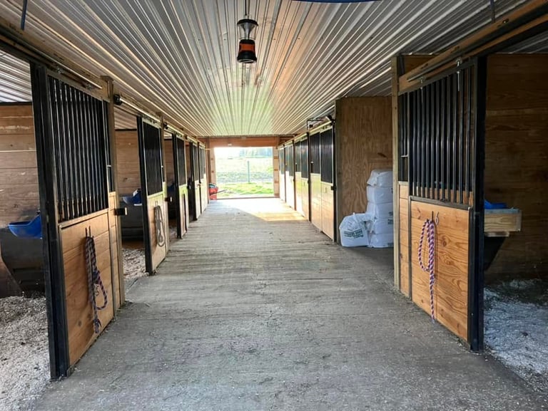 Inside of a well-lit wooden horse stable with clean stalls, metal bars, and a concrete center aisle.