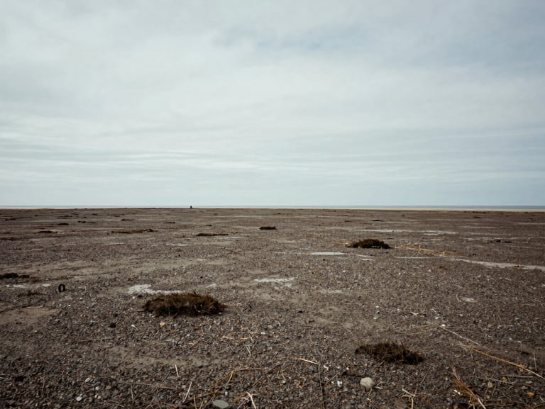 Wide environmental shot of preserved coastal land, low-contrast overcast lighting, quiet and expansive horizon