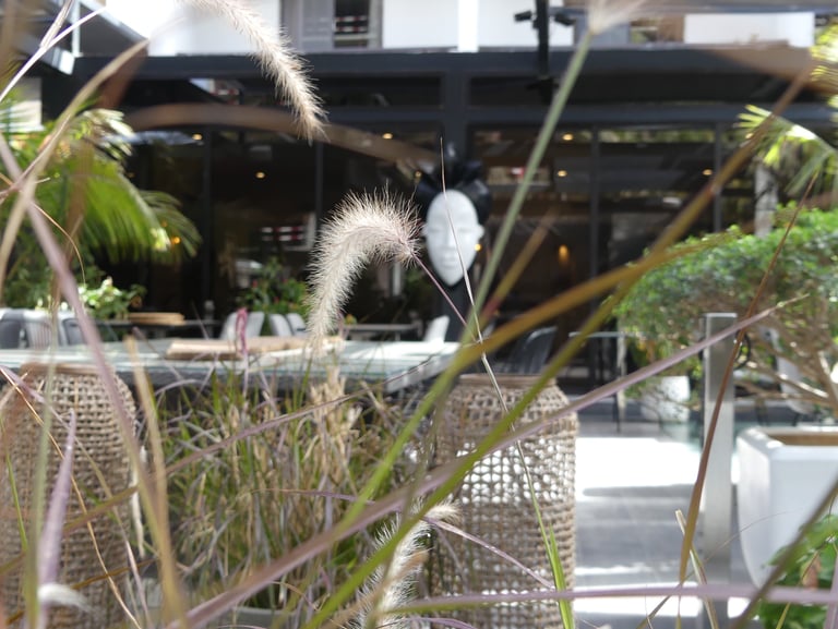 vue extérieure du restaurant alkimia à dakar